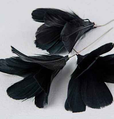 Bild av svarta fjädrar på metalltråd för dekoration