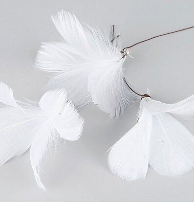 Bild av vita fjädrar med brun tråd på grå bakgrund