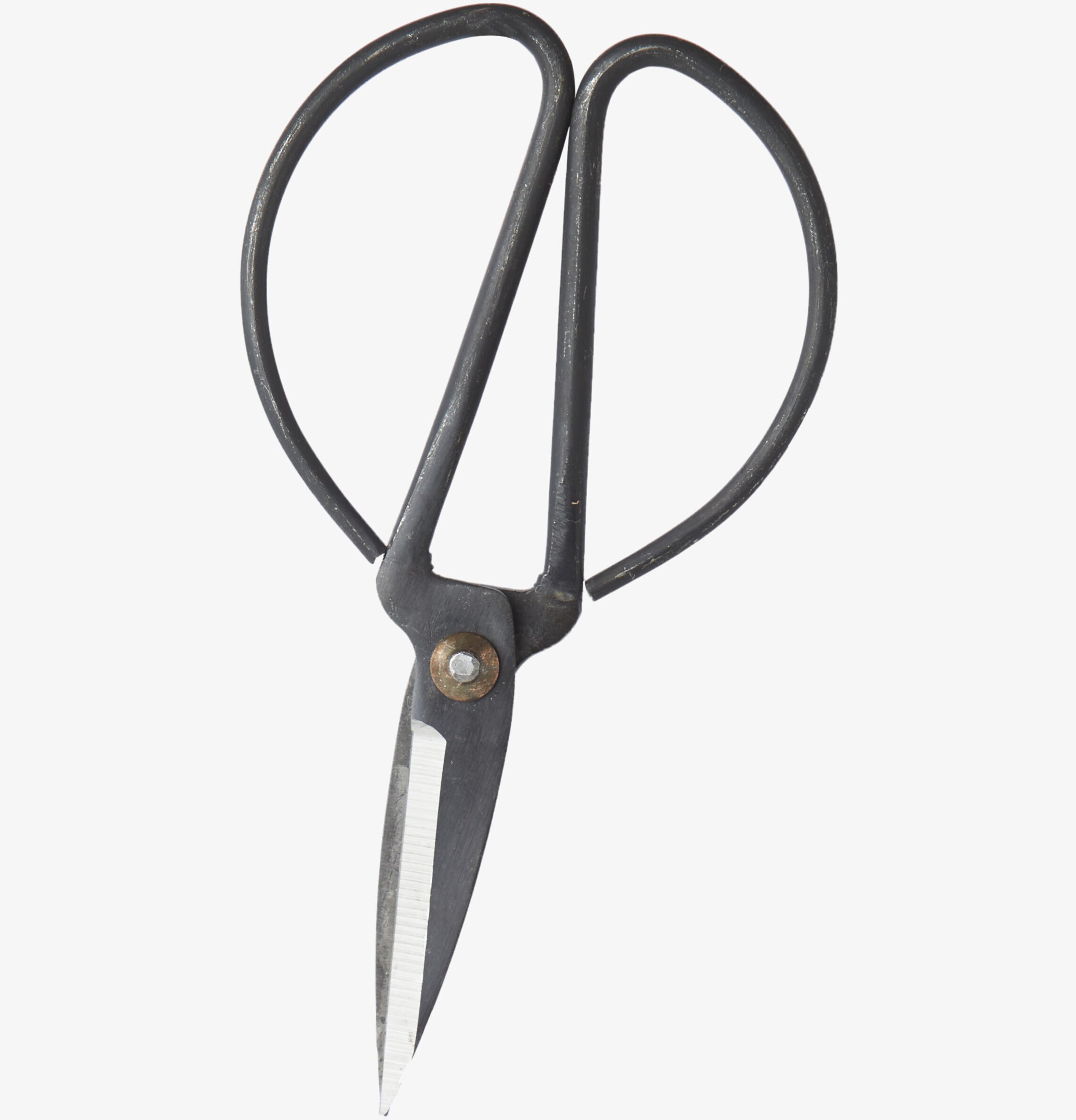 Sax Frej M Svart från Affari, solid och funktionell sax