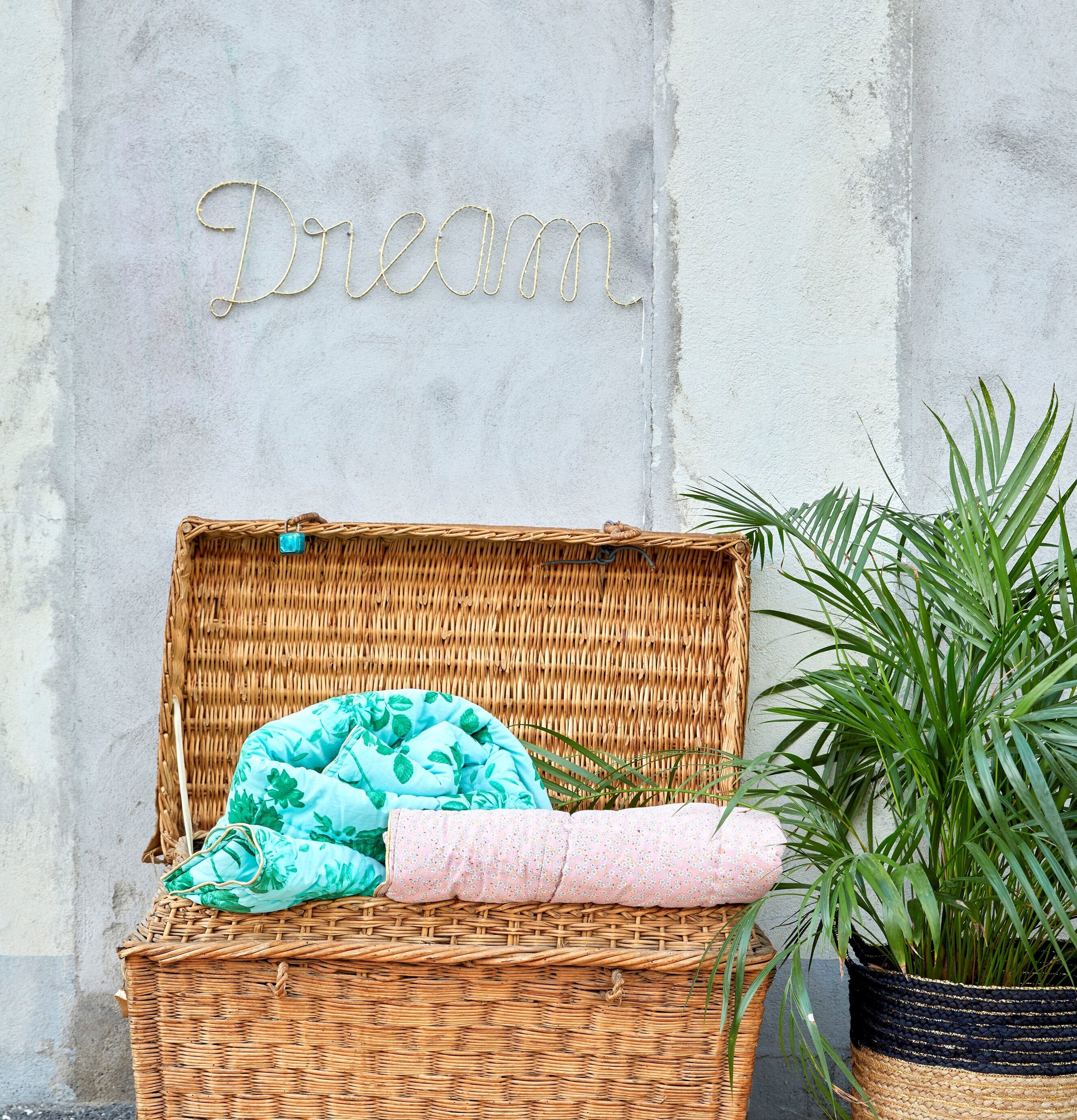 LED Sign Dream från Rice på betongvägg med korg och växt