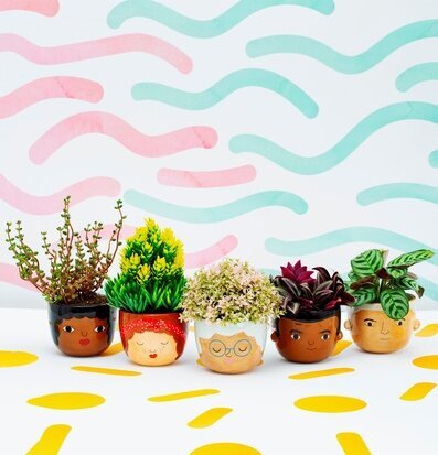 Bild: Färgglada krukor med unika ansikten och växter