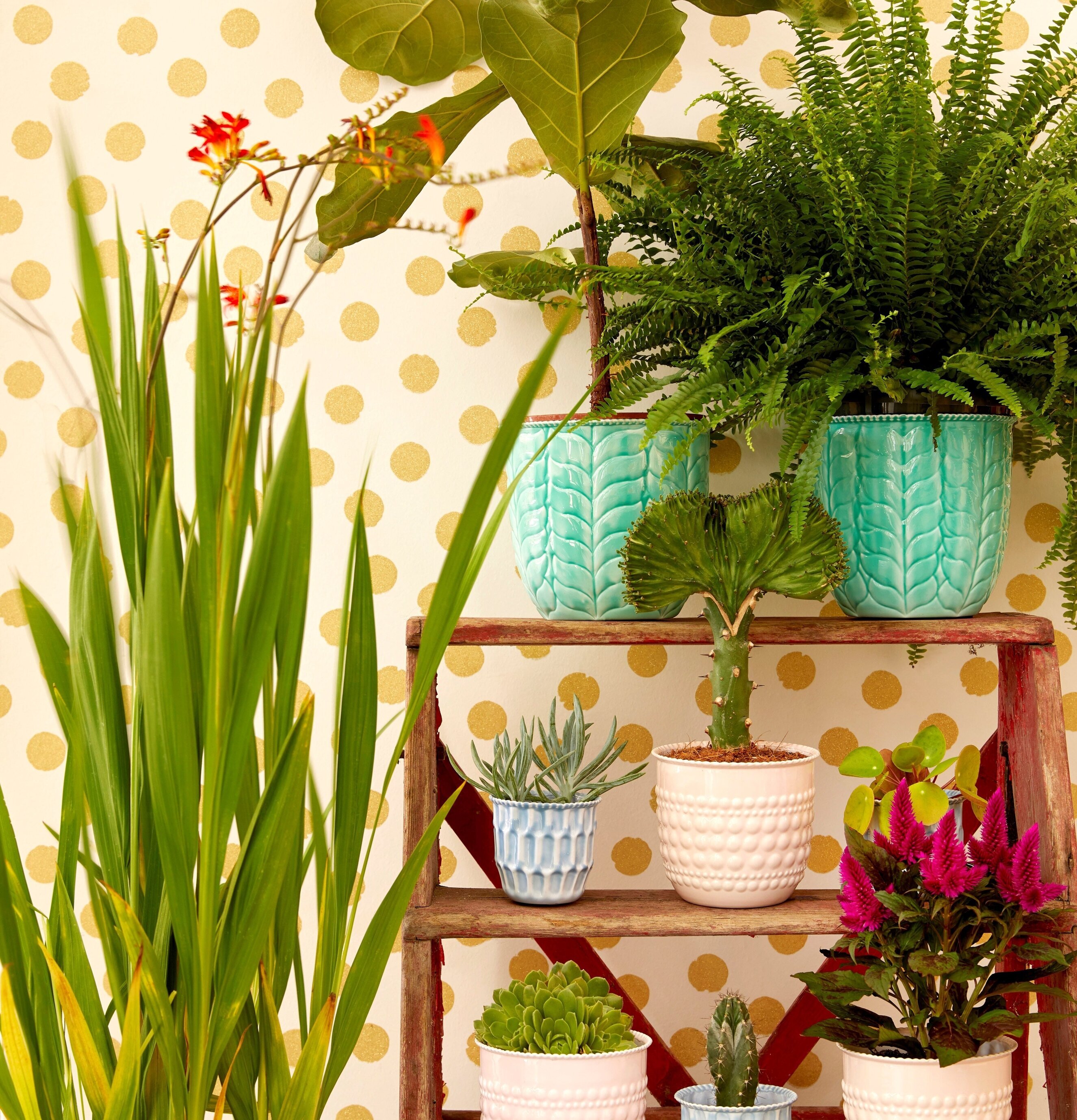 Blomkruka Green Large från Rice på en rustik trästege