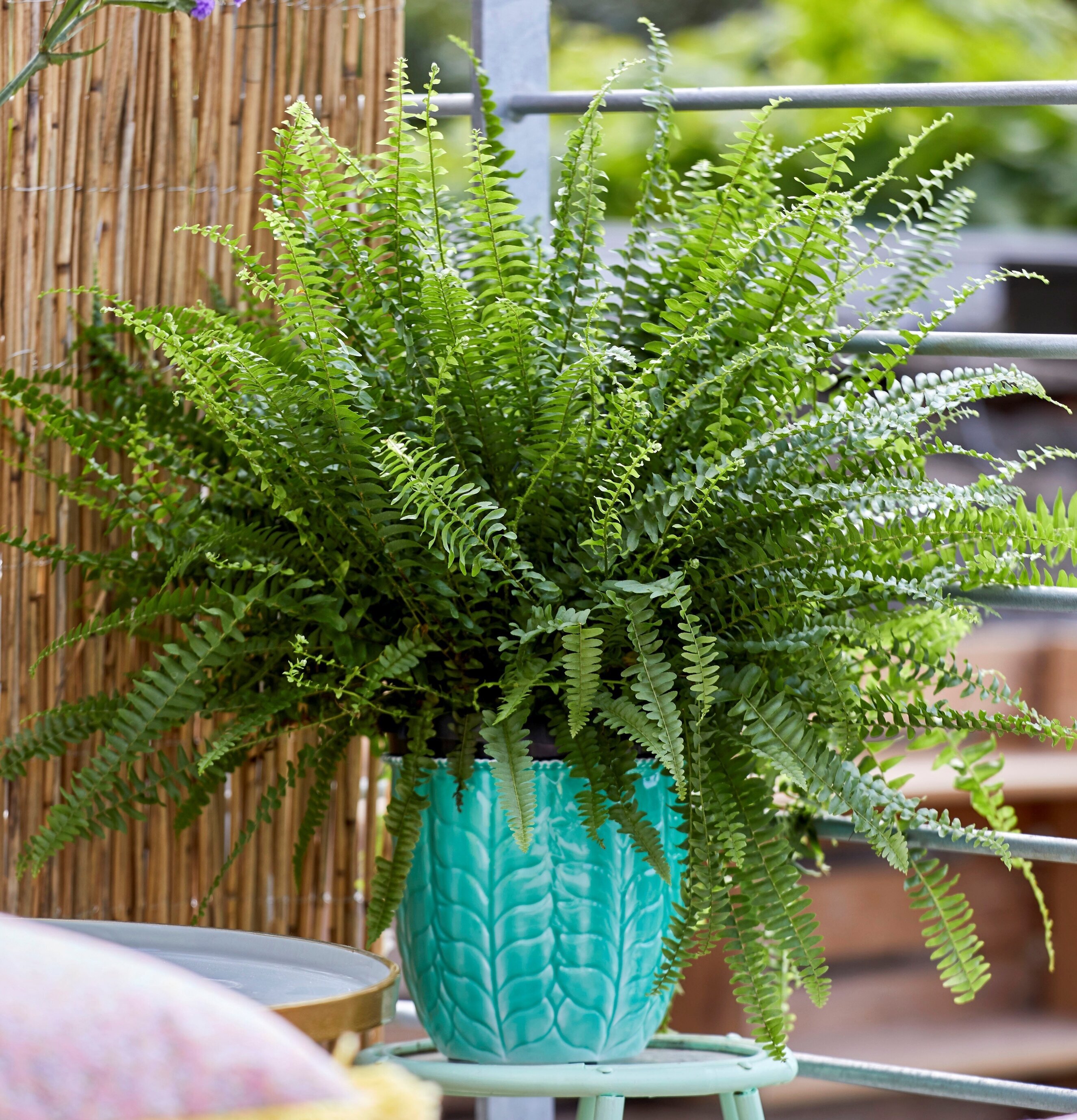 Blomkruka Green Large från Rice i frodig utomhusmiljö