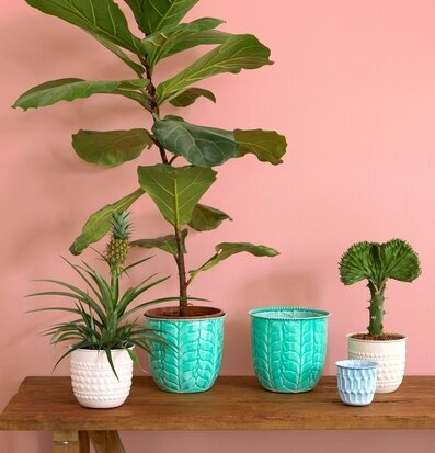 Bild av harmonisk inredning med stilrena blomkrukor