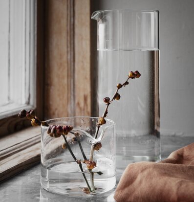 Foto av stilren glaskanna i harmoniskt naturligt ljus