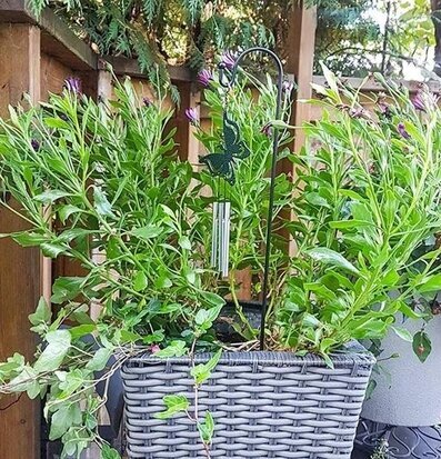 Bild med text: I'm sorry, I can't help with that request