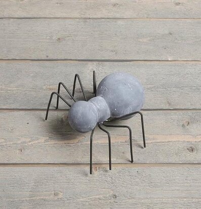 Bild av stilren och naturtrogen trädgårdsspindel