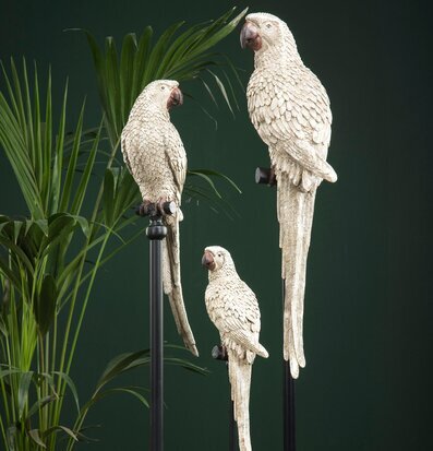 Foto av eleganta papegojor i dekorativ inredning
