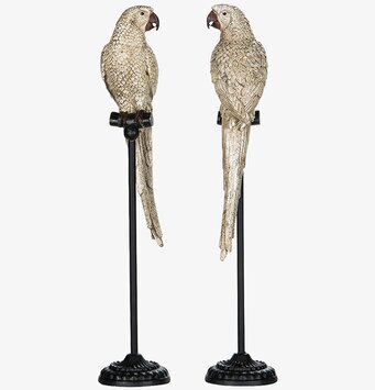 Bild av eleganta papegojor på svarta stativ i champagne