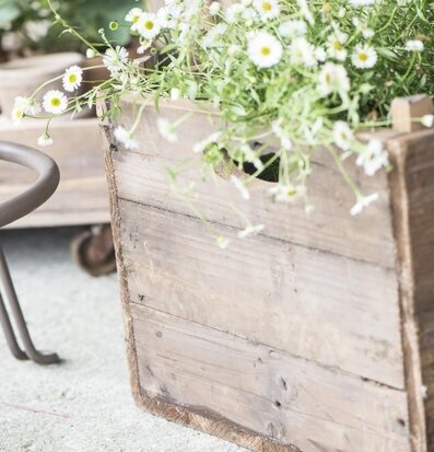 Bild av rustik trälåda med blommor i naturlig miljö