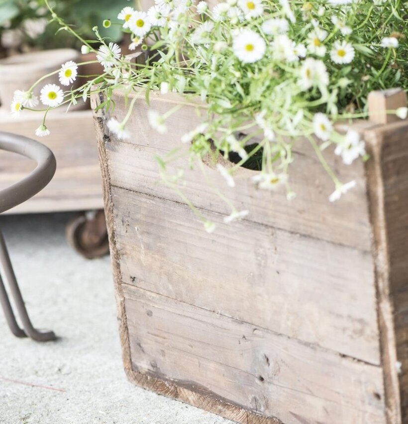 Bild av rustik trälåda med blommor i naturlig miljö