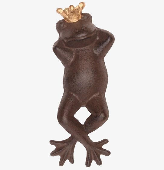 Bild av dekorativ groda med guldkrona i trädgård