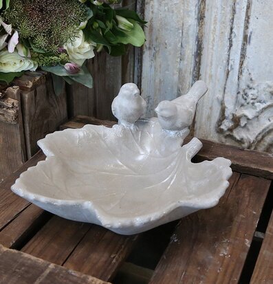 Foto av charmigt fågelbad i form av ett stort löv