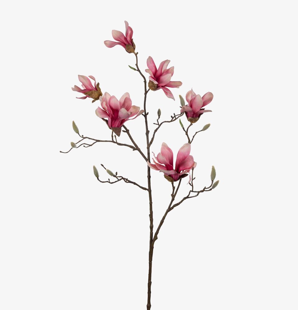 Foto av konstgjord magnoliakvist med realistiska detaljer