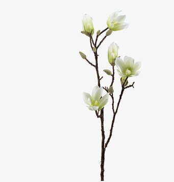 Bild av konstgjorda magnoliakvistar för dekoration