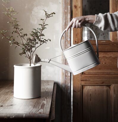 Bild av stilren vattenkanna i lantlig atmosfär