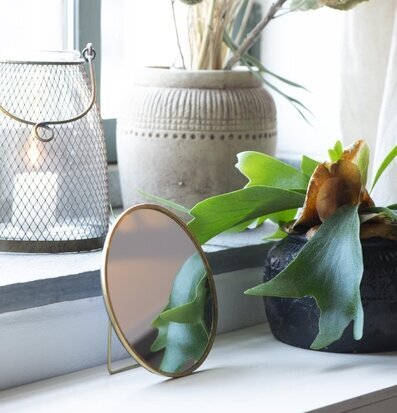 Foto av harmonisk inredning med spegel och växter