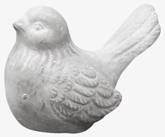 Foto av stilren prydnadsfågel i betongliknande nyans