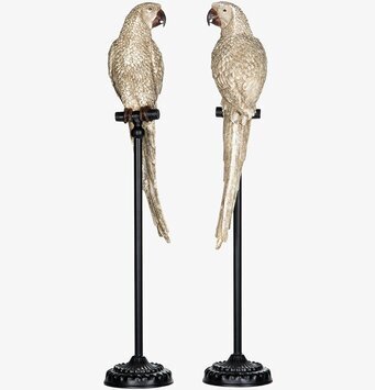 Bild av elegant papegojafigur på stativ i champagnefärg