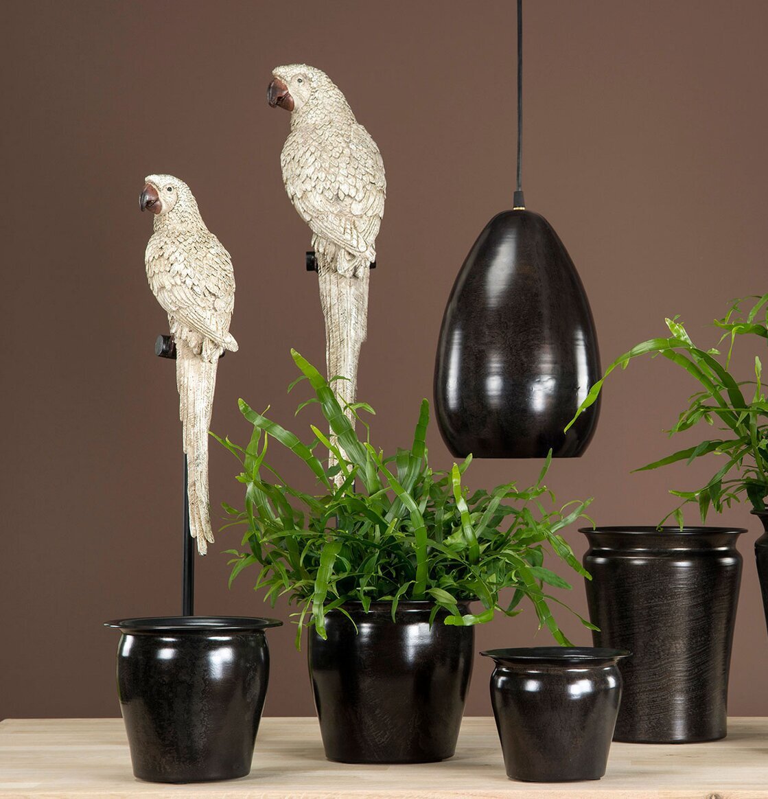 Papegoja Stativ Champagne från A Lot Decoration med växter