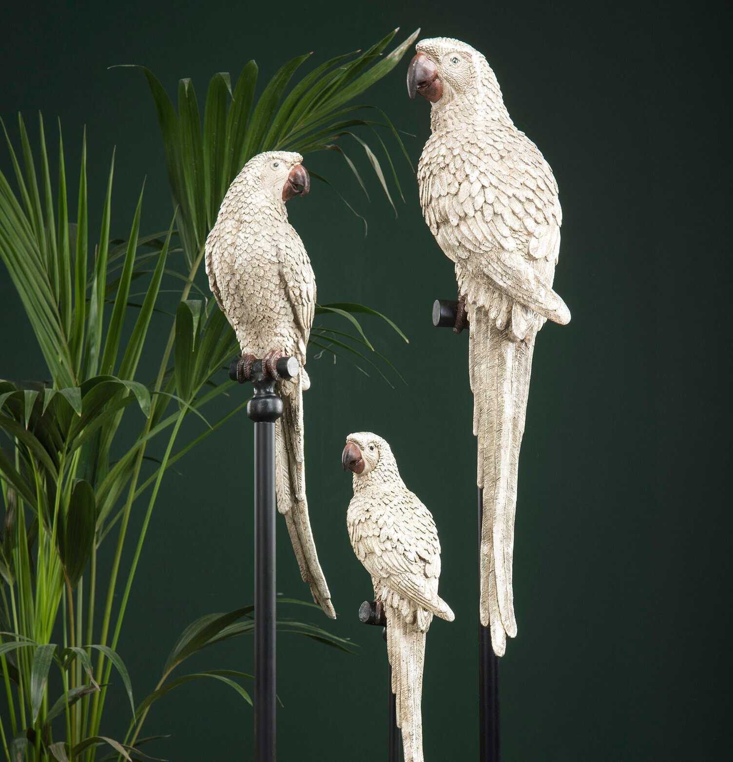 Bild av eleganta papegojor på stativ i harmonisk miljö