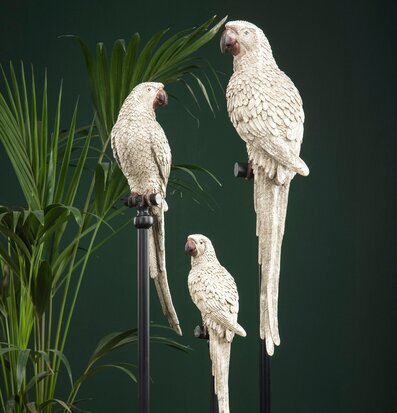 Bild av eleganta papegojor på stativ i harmonisk miljö