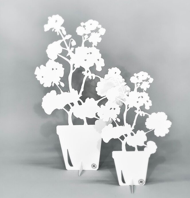 #ÄlskaPlåt Pelargon Stor Vit från Älskaplåt mot grå bakgrund