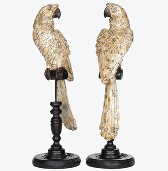 Bild av dekorativa papegojestativ i shabby chic stil