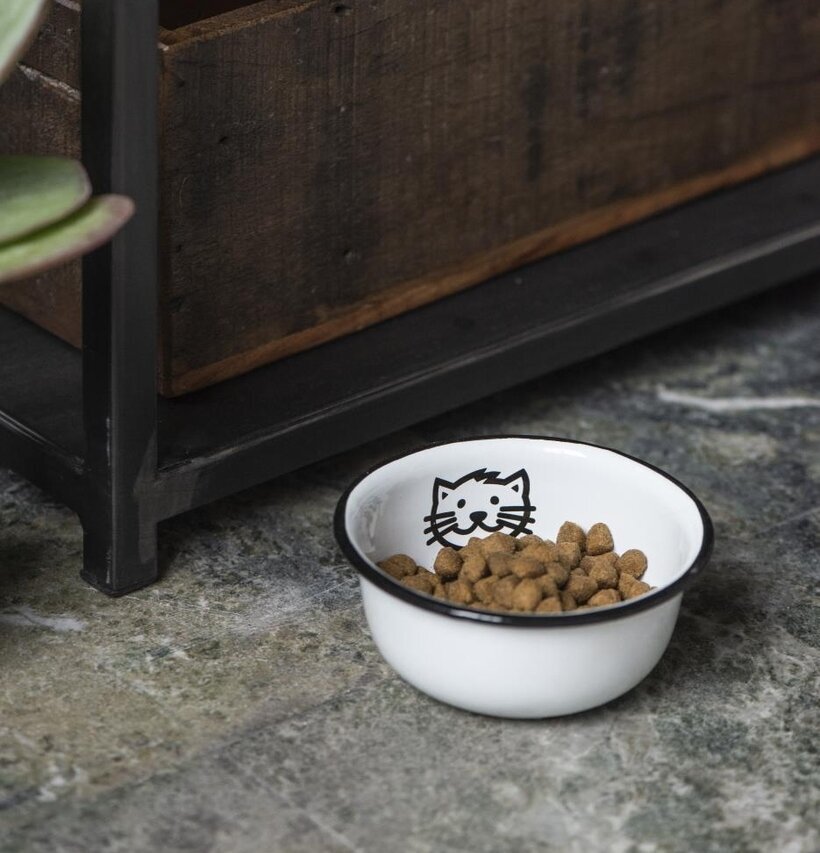 Kattskål Emalj från IB Laursen på ett stengolv med växt