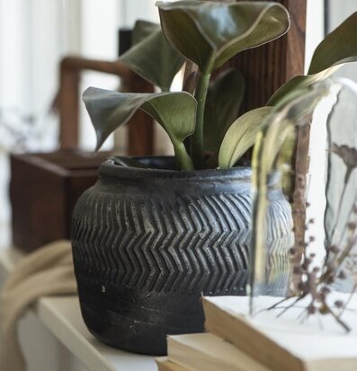 Foto av elegant kruka i harmonisk och ljus miljö