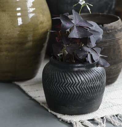 Bild av harmonisk krukkomposition med stil och kontrast