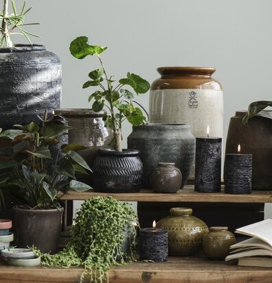 Bild av harmoniskt arrangemang av krukor och växter