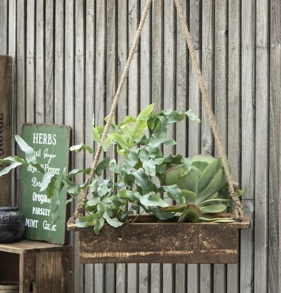 Bild av rustik träbricka med växter och grön skylt