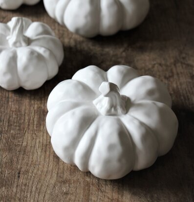 Bild av vita dekorativa pumpor på rustikt träbord