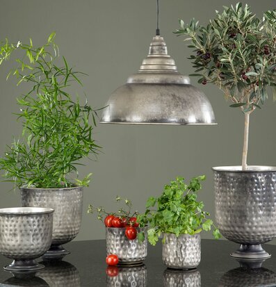 Bild av harmonisk inredning med växter och belysning