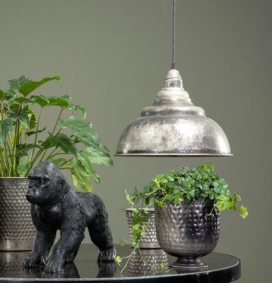 Bild av industriell taklampa med växter och skulptur