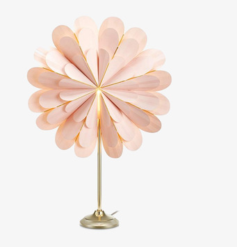 Foto av elegant bordsstjärna i rosa och mässing