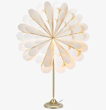 Bild av elegant bordsstjärna med stilren design