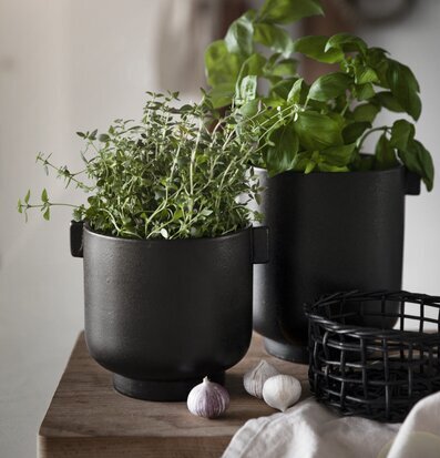 Bild på elegant inredning med svarta krukor och örter