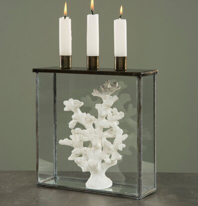 Bild av elegant glasbox med ljushållare och korall