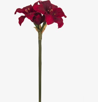 Foto av naturtrogen konstgjord Amaryllis i röd nyans