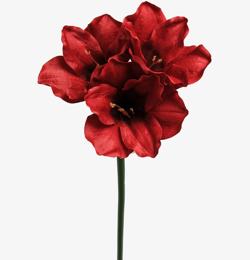 Bild av konstgjord amaryllis med djupa röda blommor