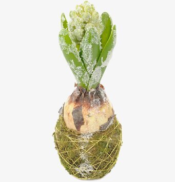 Bild av konstgjord hyacint med vintrig snöeffekt