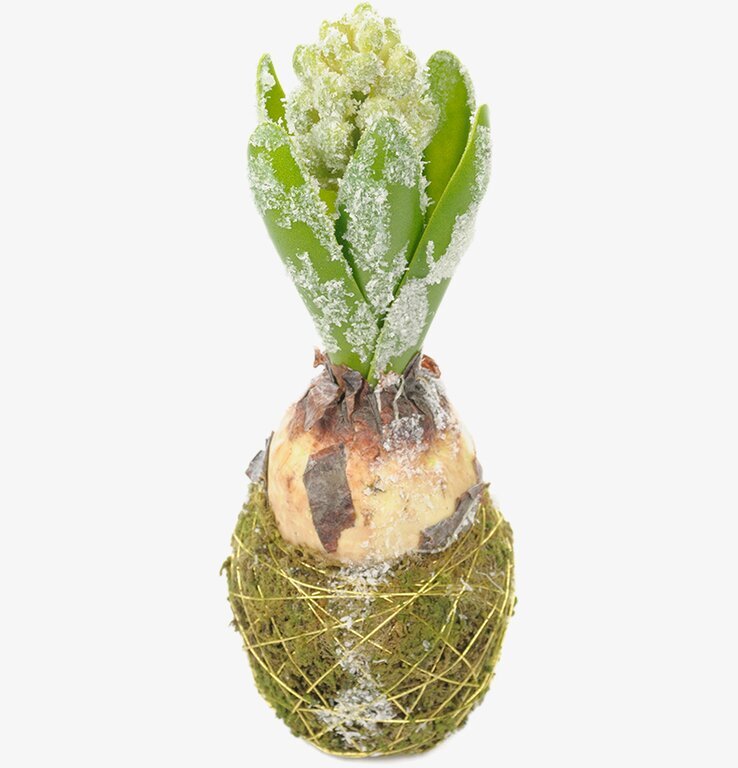 Hyacint Med Snö från Mr Plant, konstväxt med vintersnö