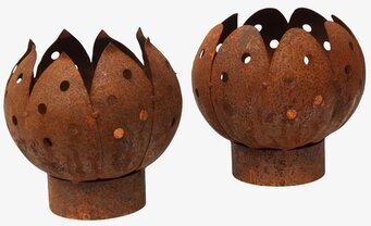 Foto av dekorativa rostbruna marschaller i tulpanform