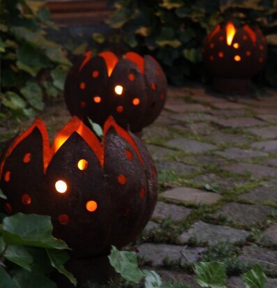 Bild av marschaller i stämningsfull trädgårdsmiljö