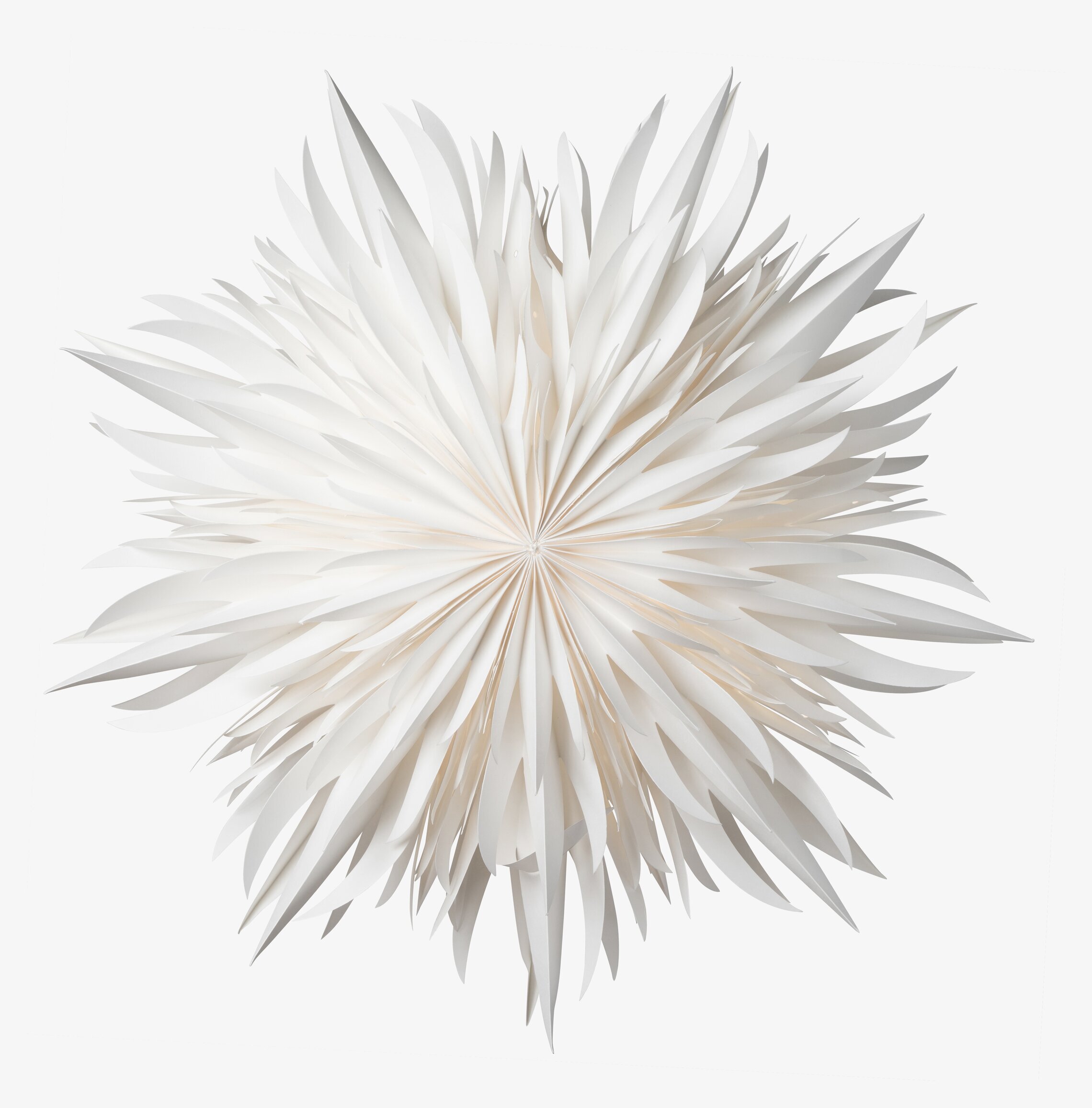 Julstjärna Eldig 52 White från Watt och Veke i fönster