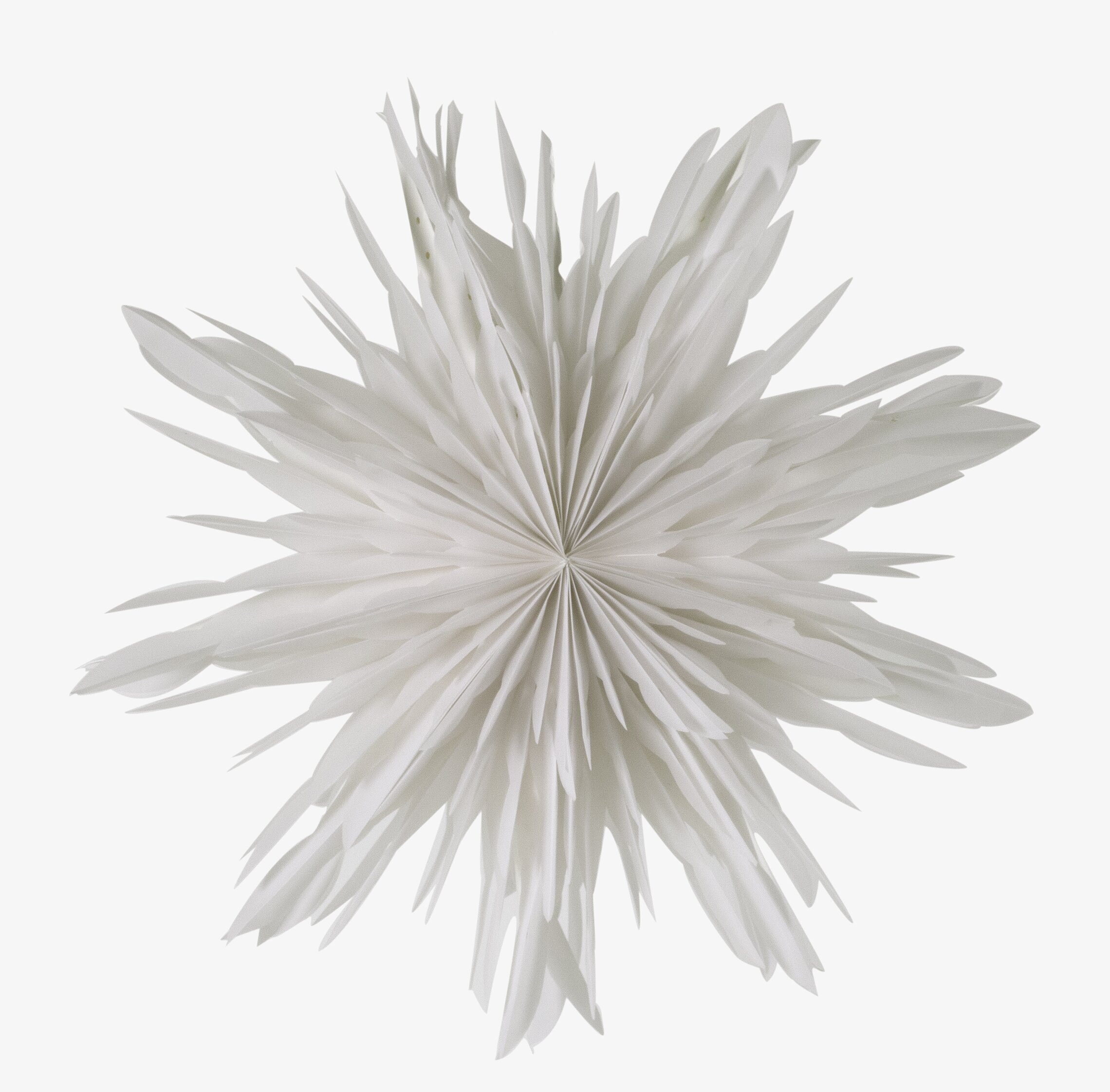 Bild av vit julstjärna med vintrig och stilren känsla