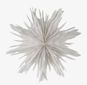 Bild av vit julstjärna med vintrig och stilren känsla