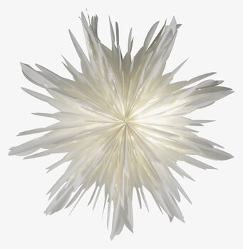 Bild av elegant vit julstjärna i sofistikerad design